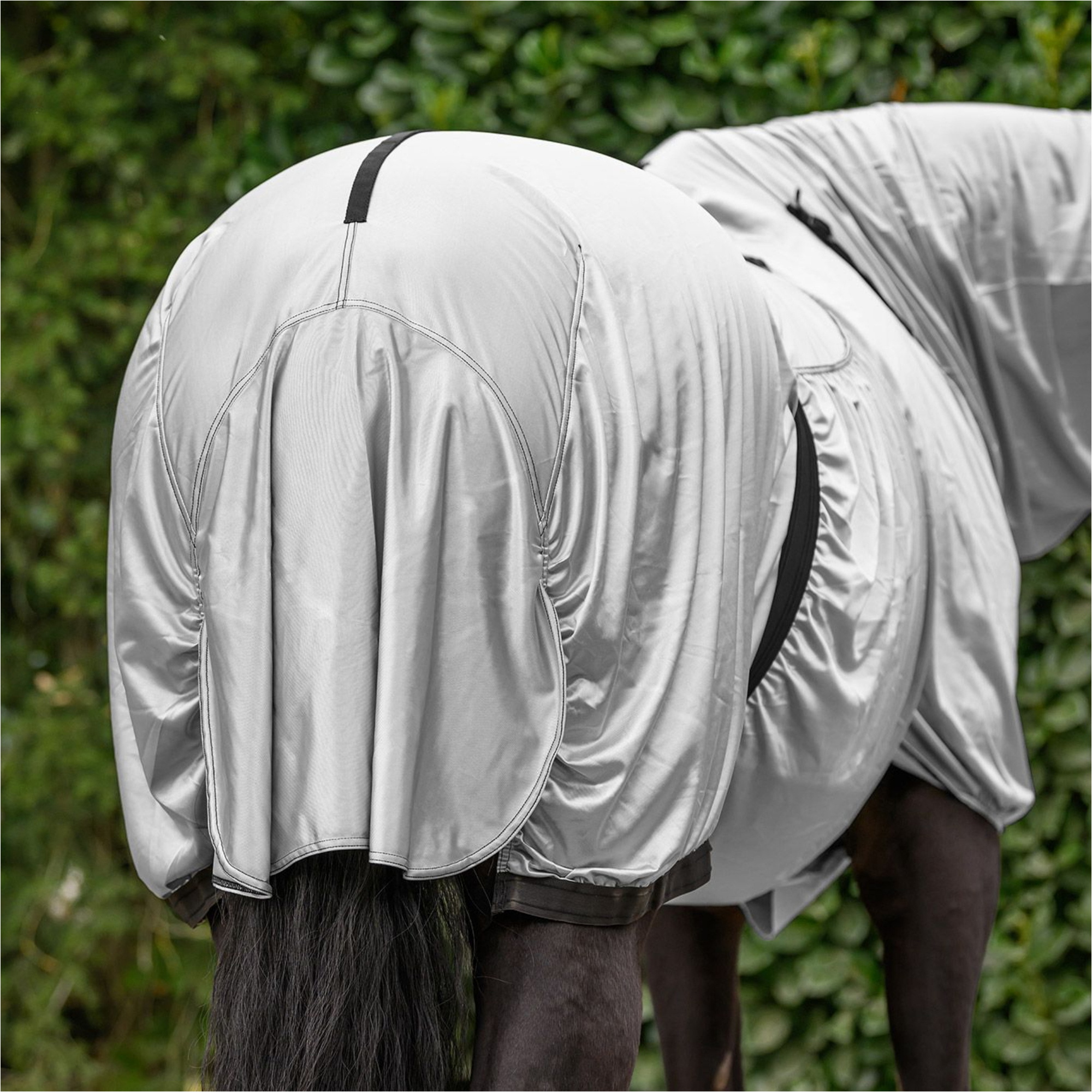 2026 Waldhausen Ekzem Teppich 8057711 - Silver Grey